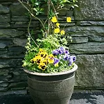 Bed & Breakfast The Haven 4*