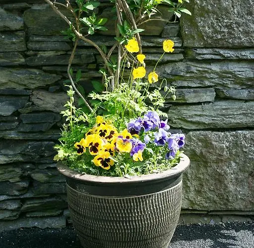 Bed & Breakfast The Haven 4*